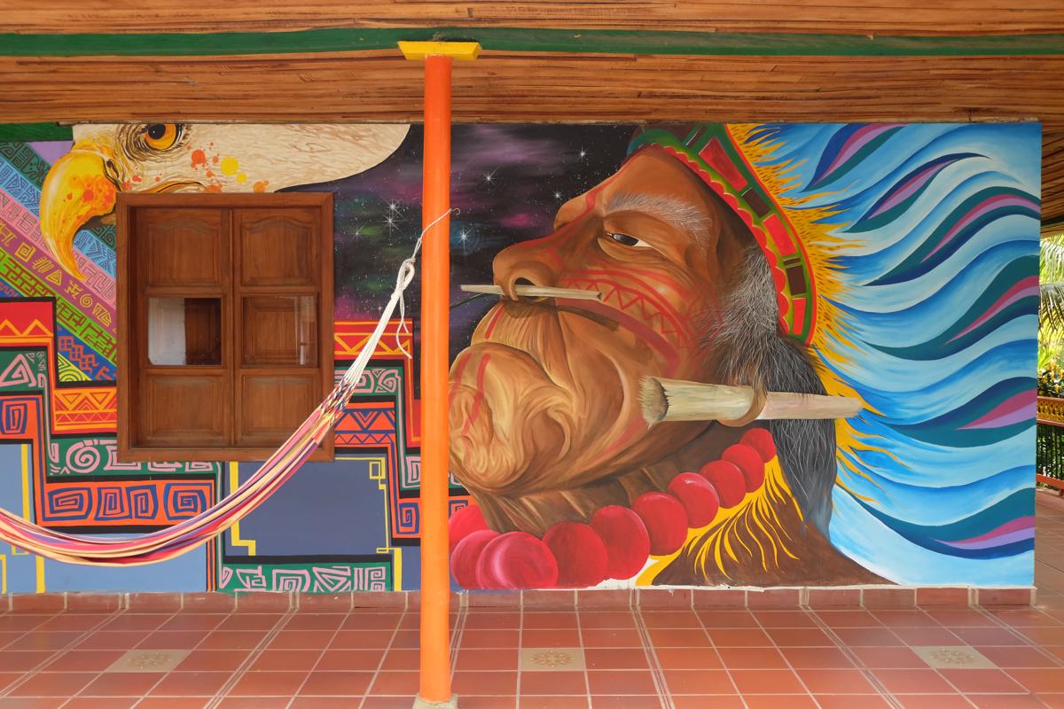 Ayahuasca Casa Artística photo 1