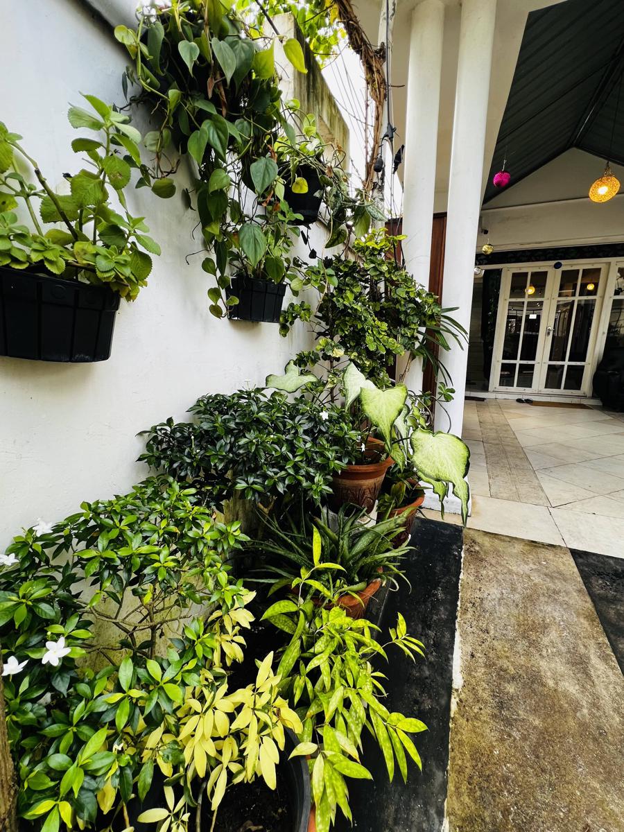 Ramlyn Guesthouse & Restaurent photo 3