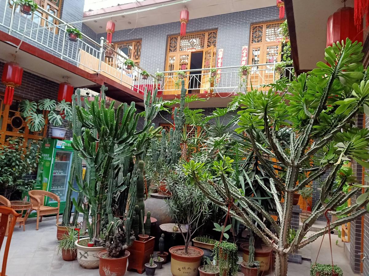 Pingyao Jiaxin Guesthouse photo 1