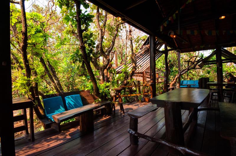 The Nature Lodge photo 1