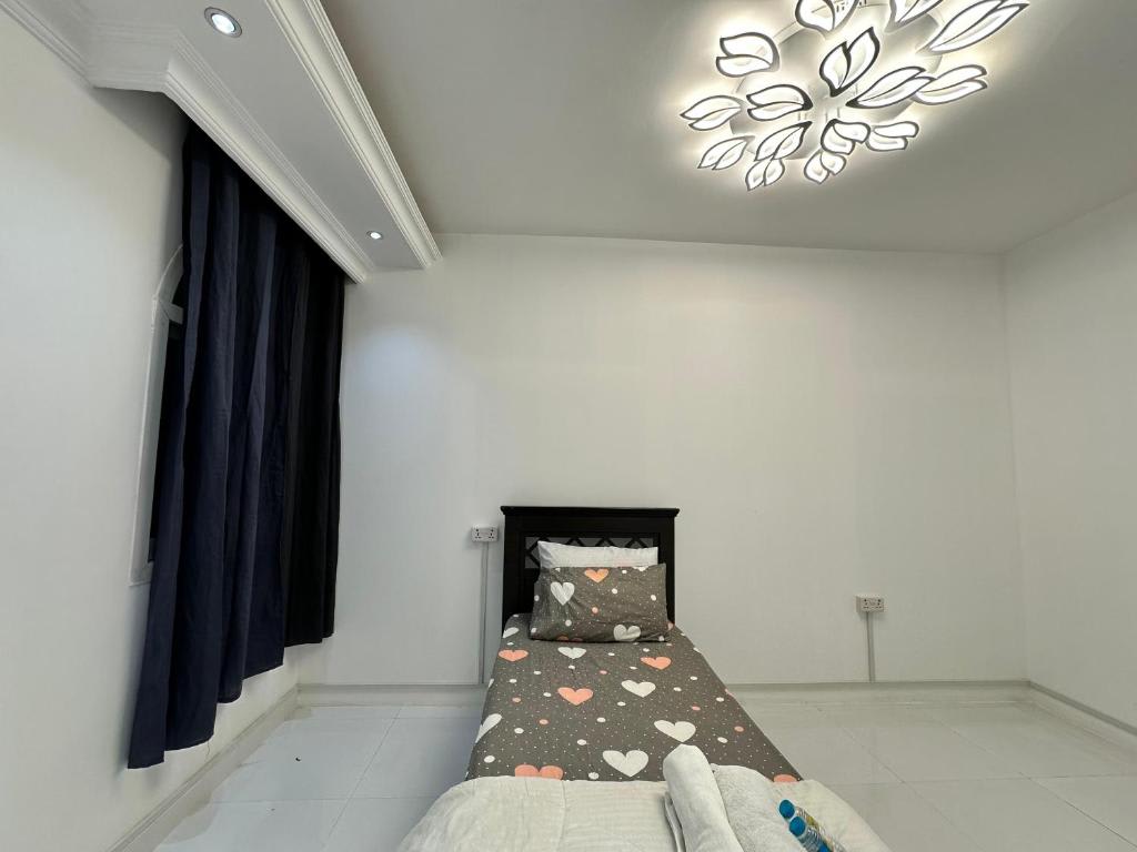 International Abu-Dhabi Hostel photo 4