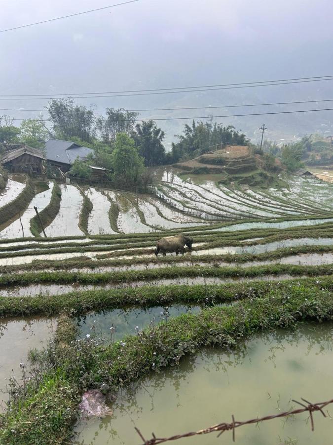 July House Central Sapa photo 6