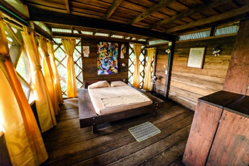 Paraiso Ayahuasca photo 2