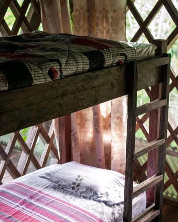 Paraiso Ayahuasca photo 3