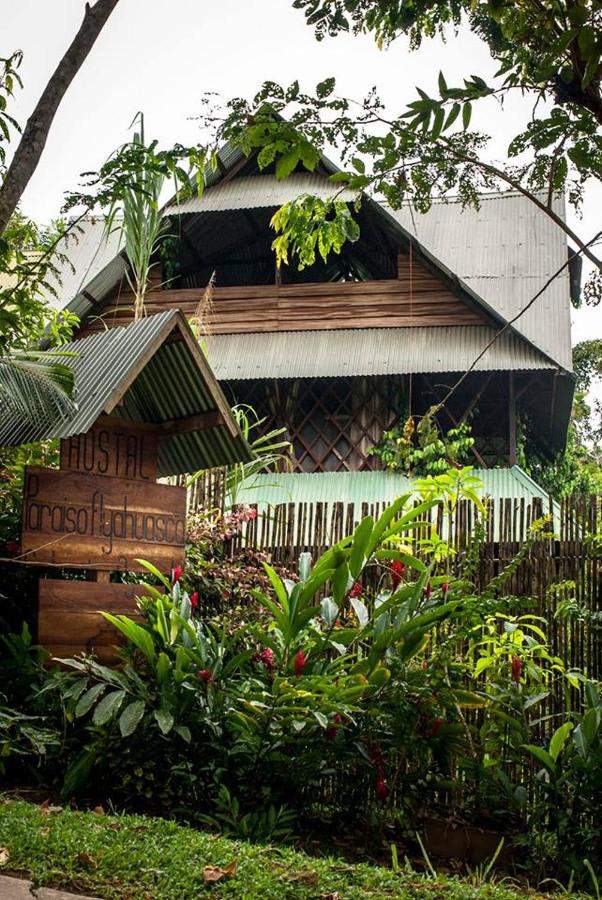 Paraiso Ayahuasca photo 4