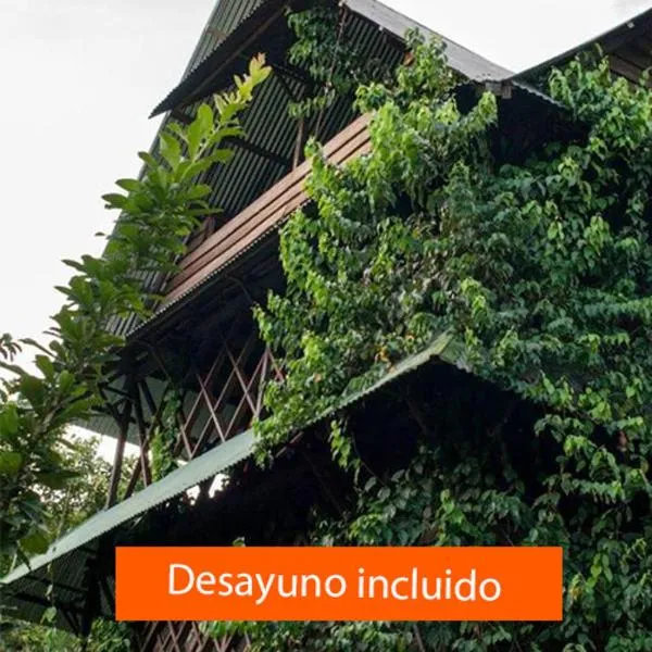Paraiso Ayahuasca photo 5
