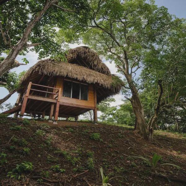 Eco Venao photo 5