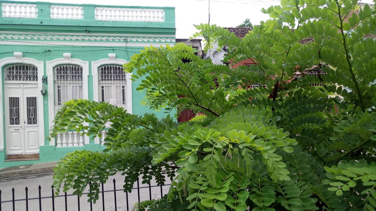 Hostal El Carmen photo 2