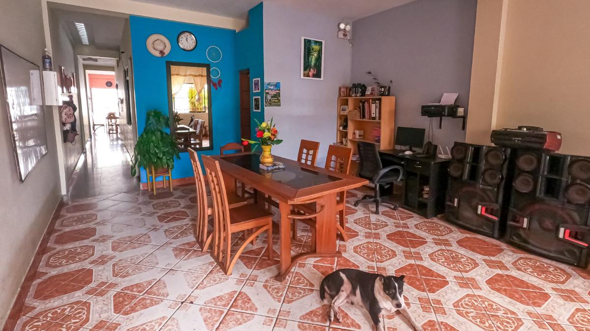 Shoffi's House Backpackers photo 1