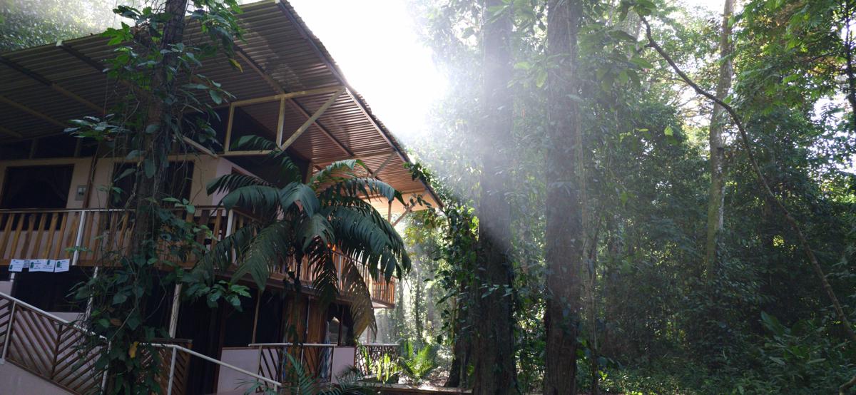 Cool Waters Jungle Hostel photo 1