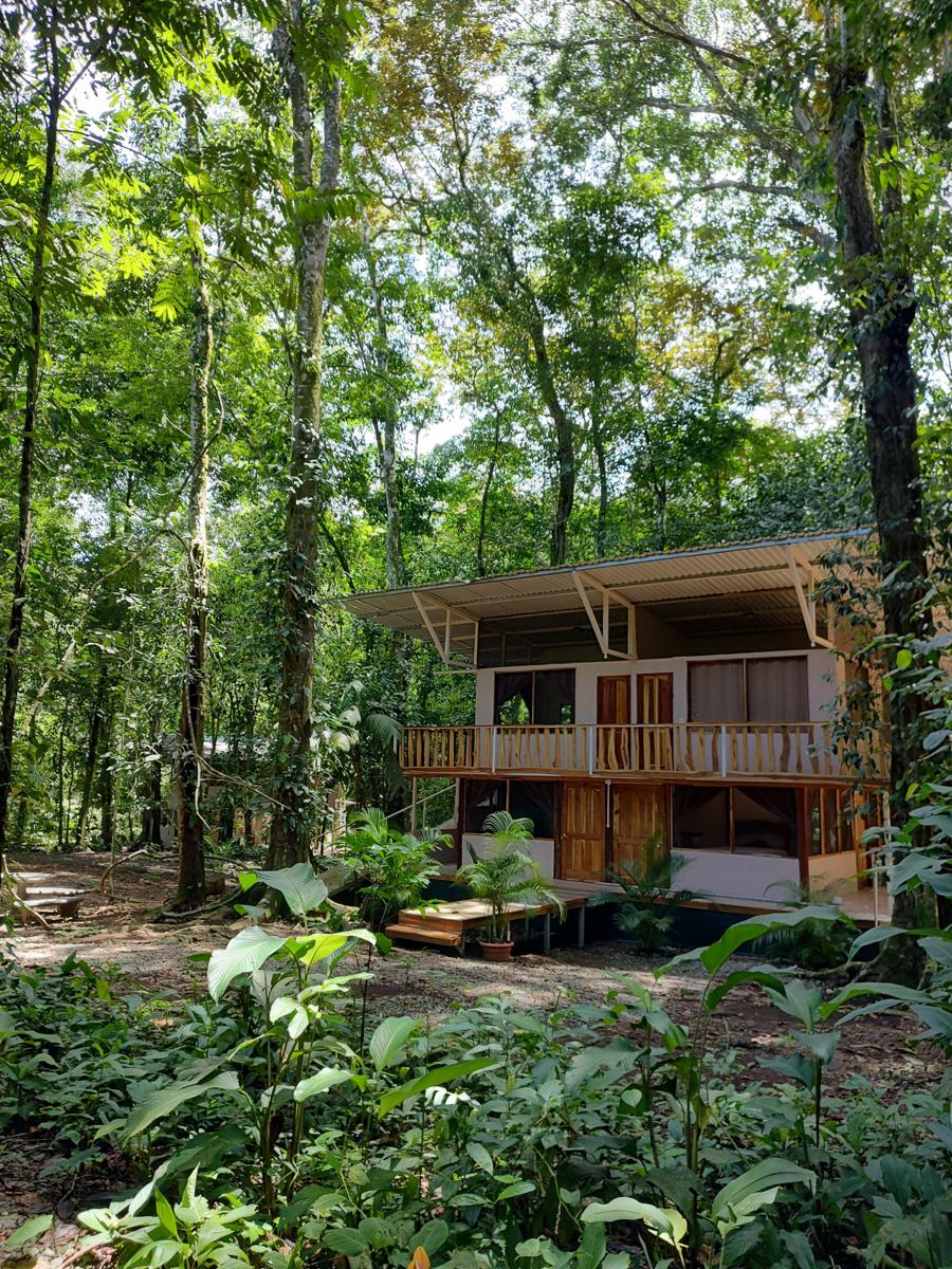 Cool Waters Jungle Hostel photo 2