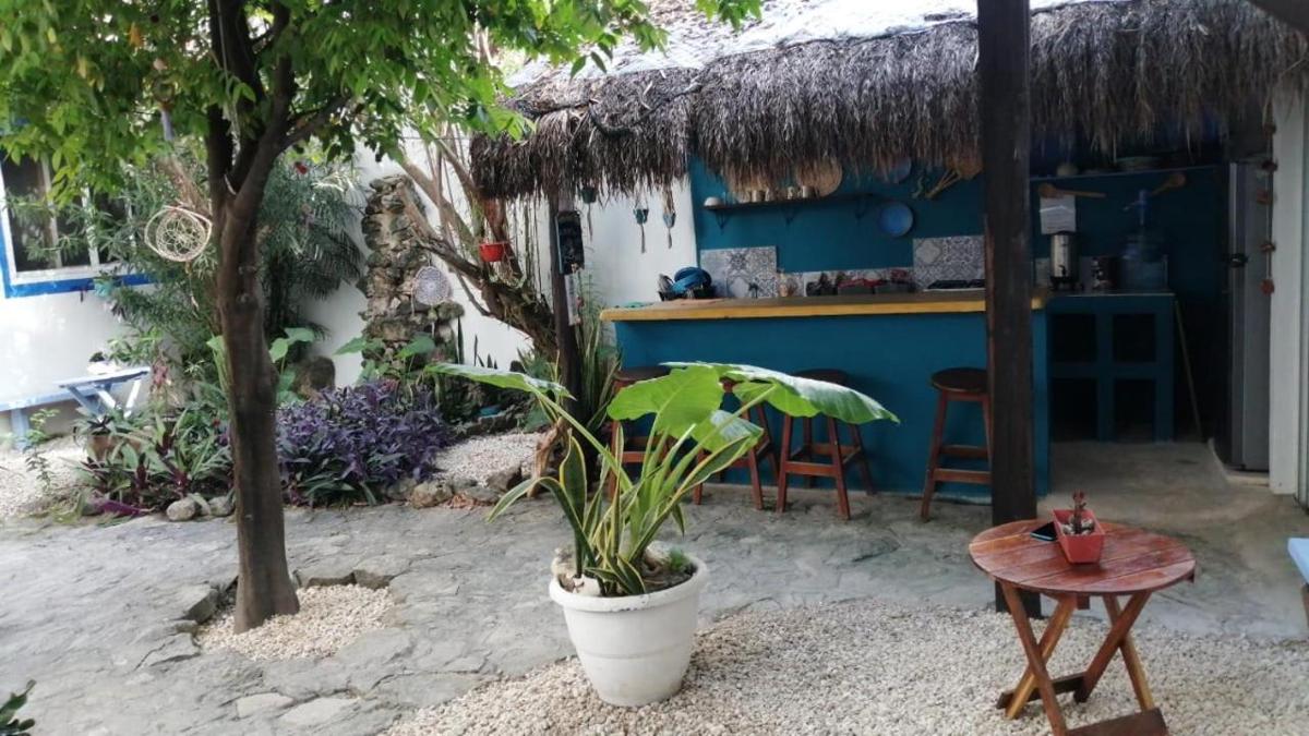 Hostal Jardin Mahahual photo 3
