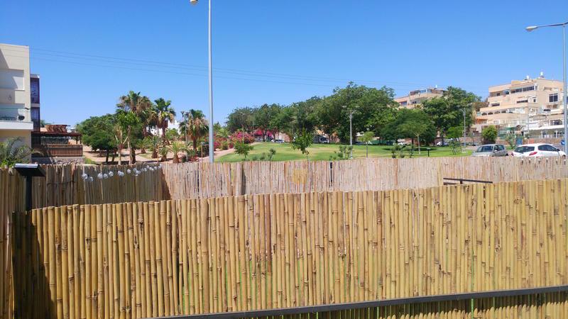 City Suites photo 4