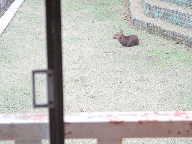 The Deer Park Inn photo 4