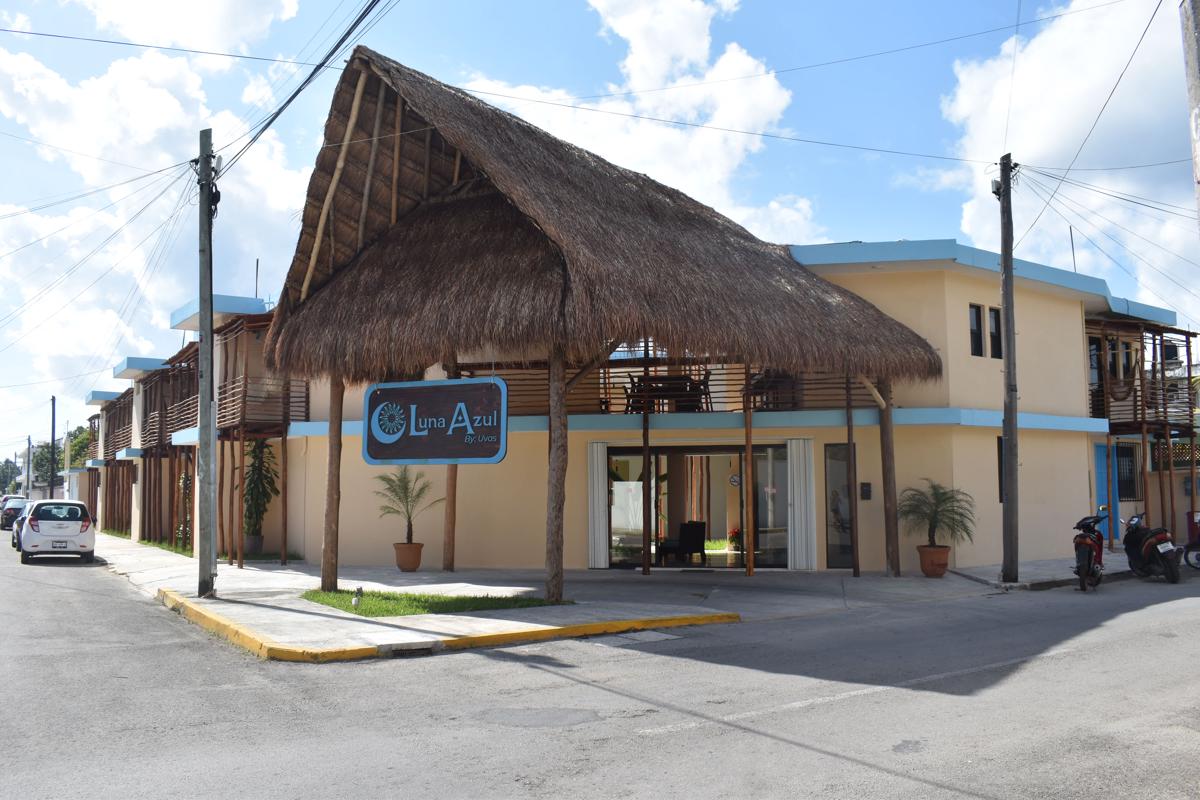 Luna Azul By Uvas photo 2