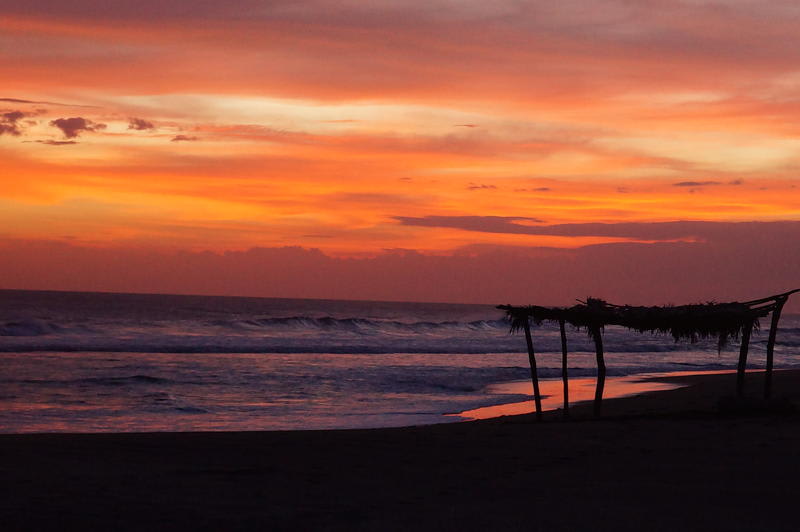 Los Cocos Hostal photo 1
