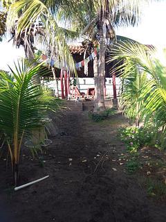 Los Cocos Hostal photo 5