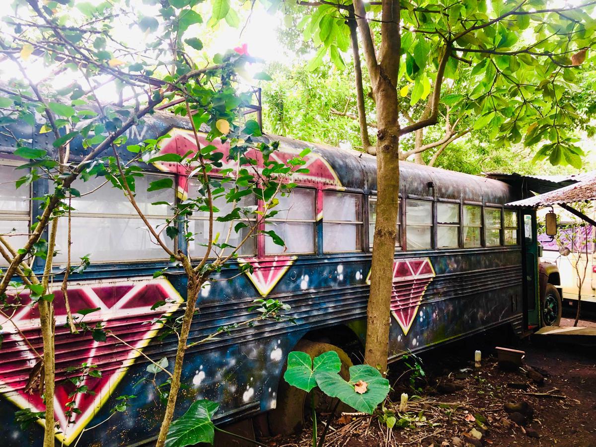 Emerald Rainbow Caravan Hostel photo 3