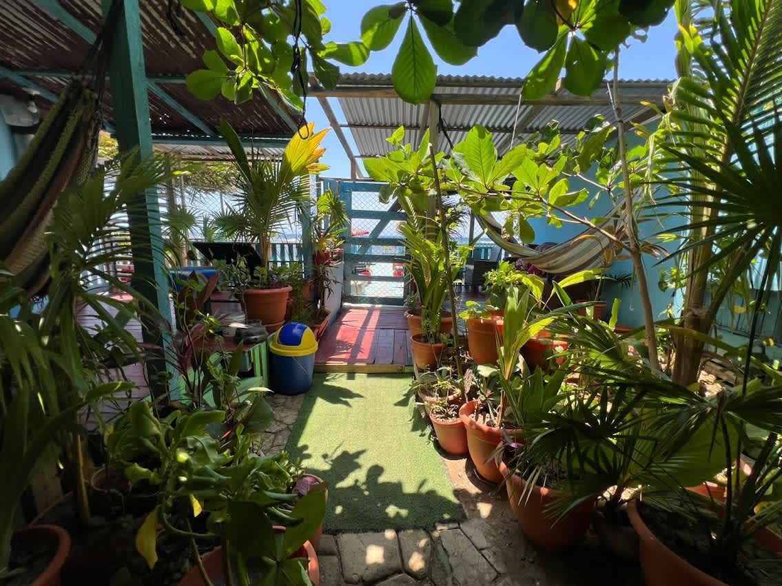 Victoria´s Beach House photo 2
