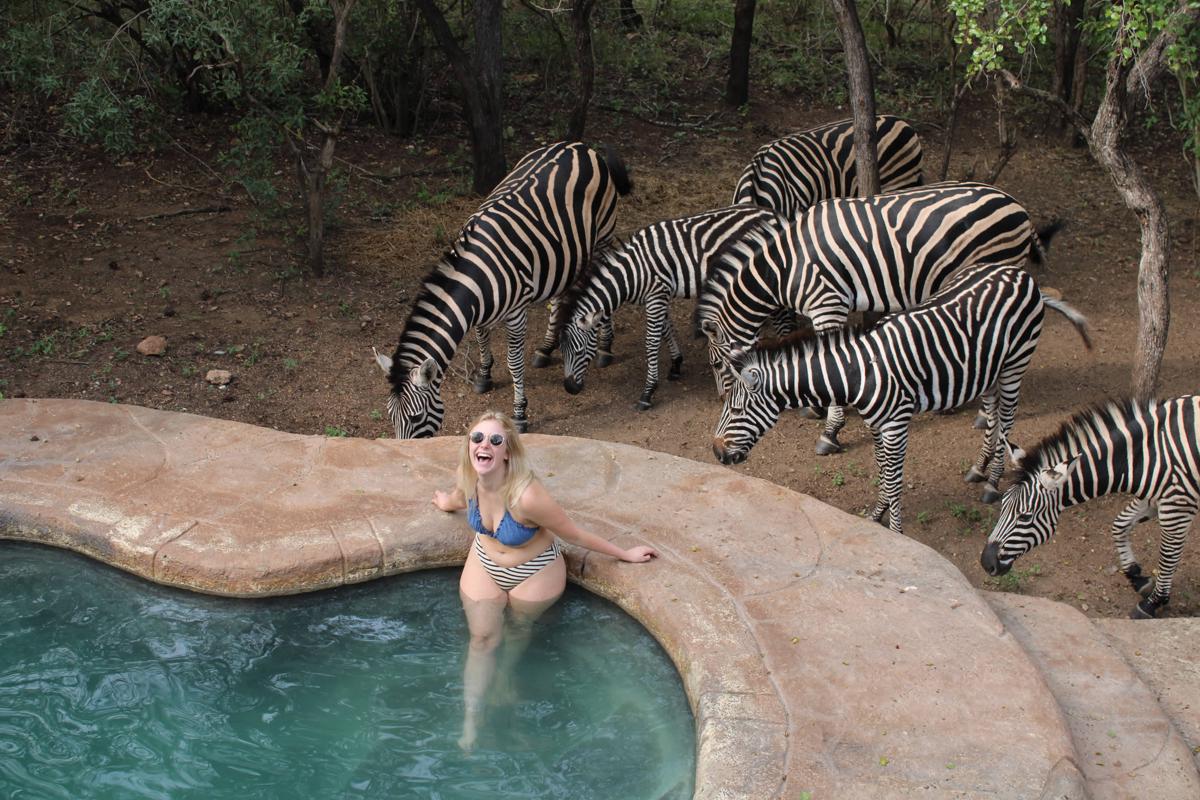 Kruger Park Hostel photo 1