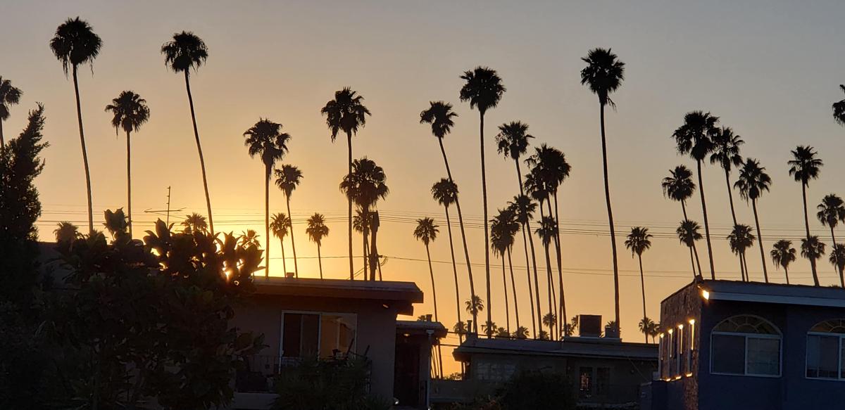 MyStayLA photo 2