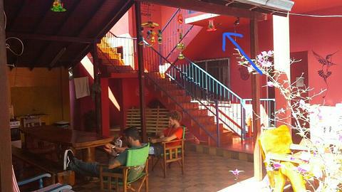 Hummingbird Hostel photo 6