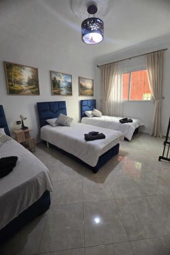 Hostel Dar Khelifa photo 4