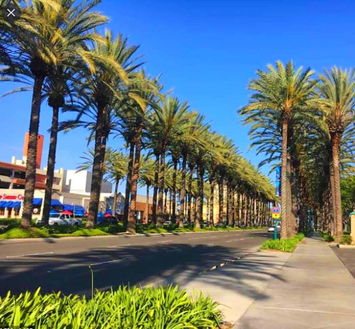 Bposhtels Anaheim photo 2