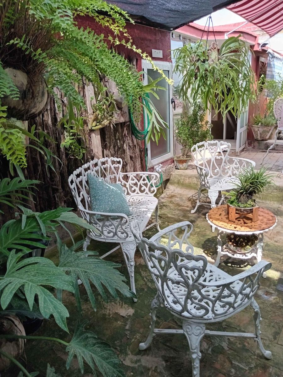 Paraiso en Cuba photo 3