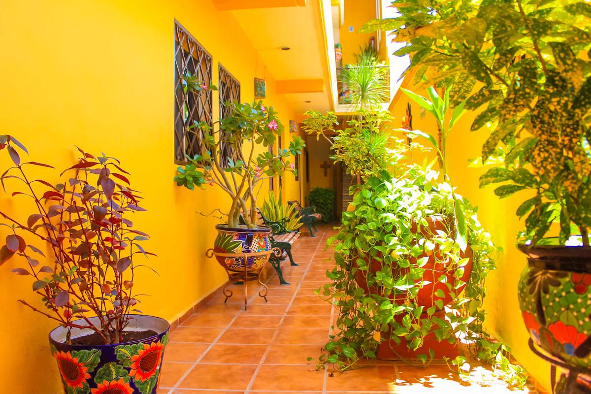 Hotel Rosalia photo 3