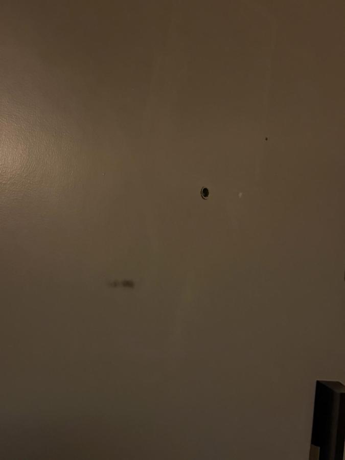 qema Lima photo 6