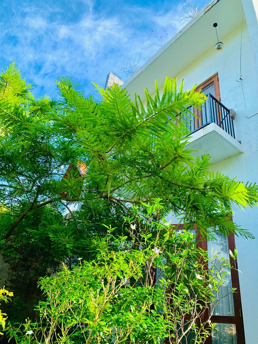 Jungle City Hostel photo 1