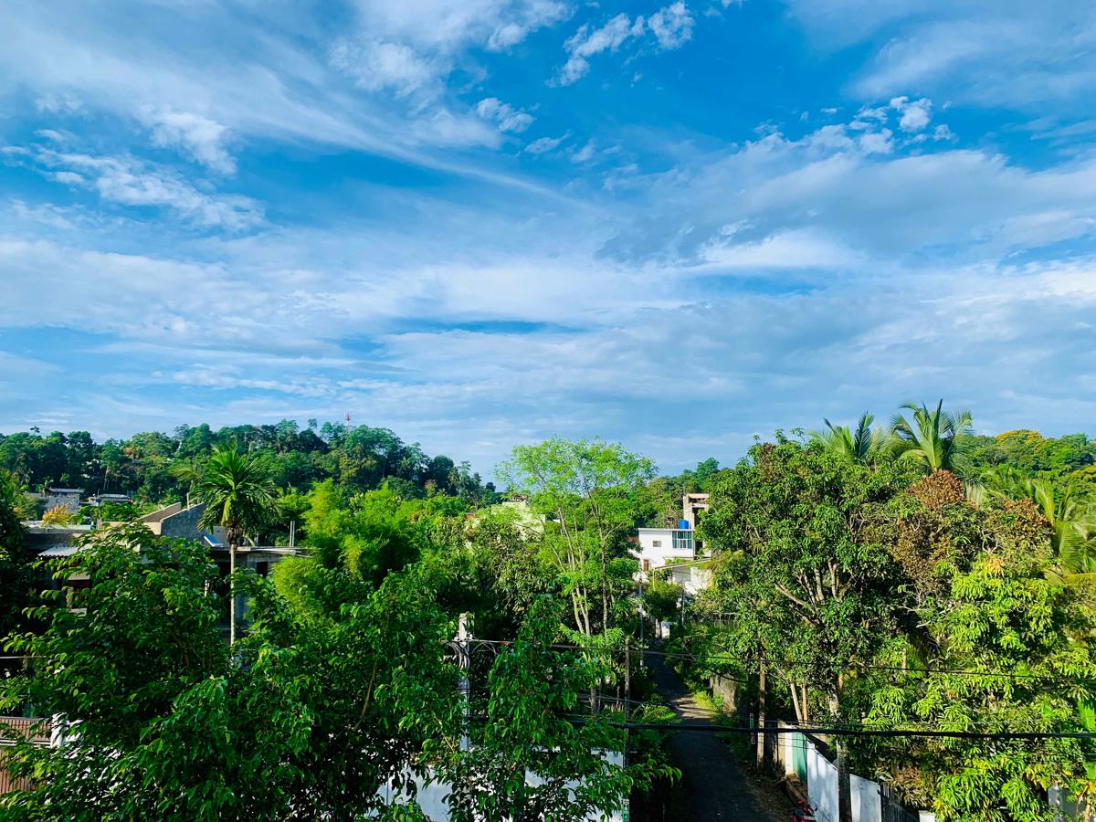 Jungle City Hostel photo 4