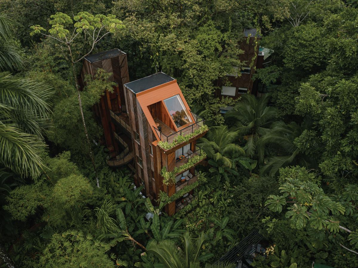 Palmar Beach Lodge photo 3