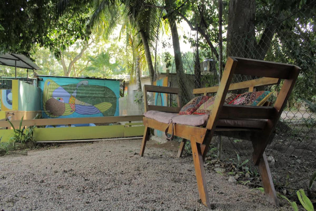 Mantra Homestay photo 4
