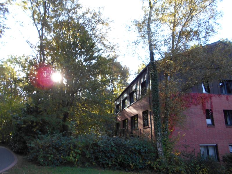 Jugendherberge Bonn photo 4