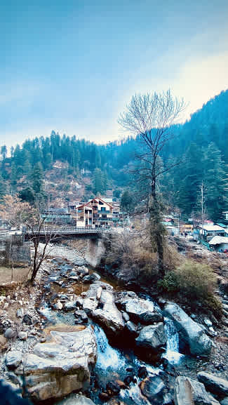 Madpackers Jibhi photo 2