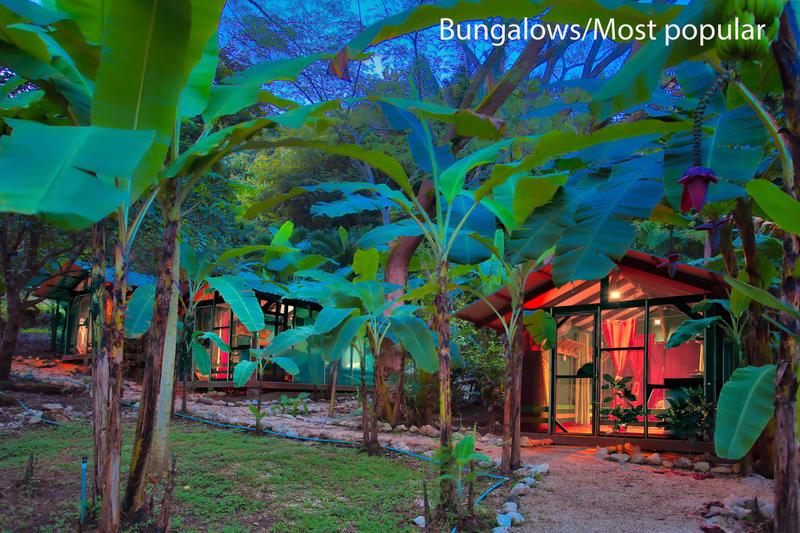Jungle's Edge Hotel photo 2