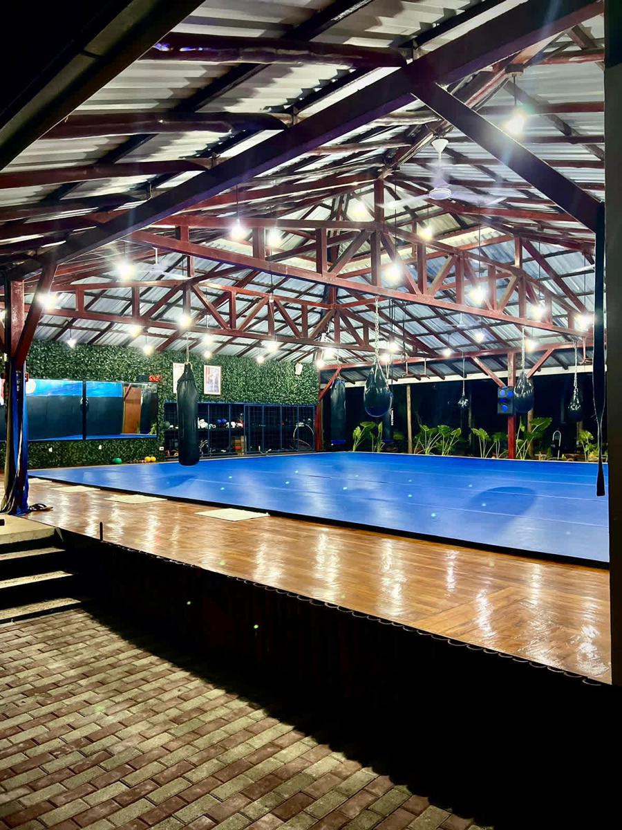 Jungle's Edge Hotel photo 4