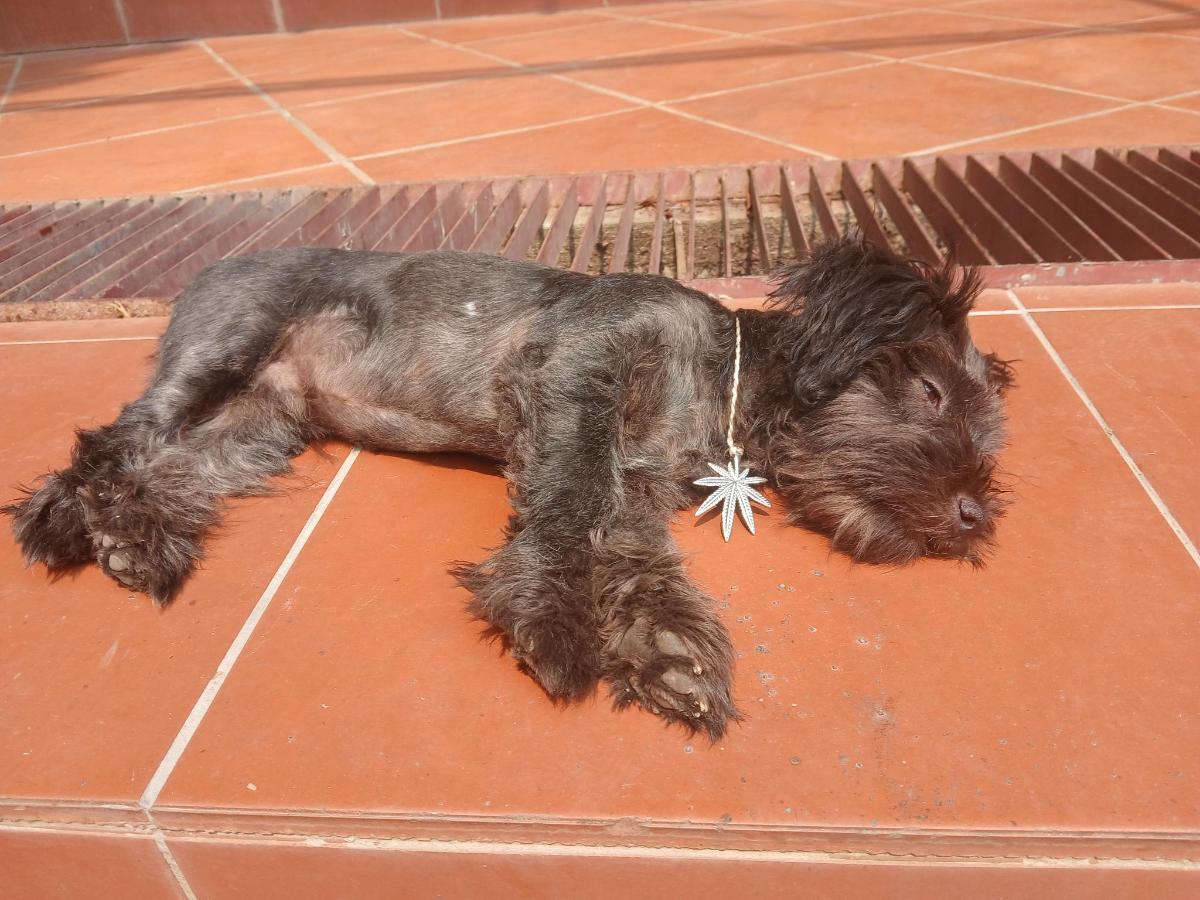 Chillin' House photo 6
