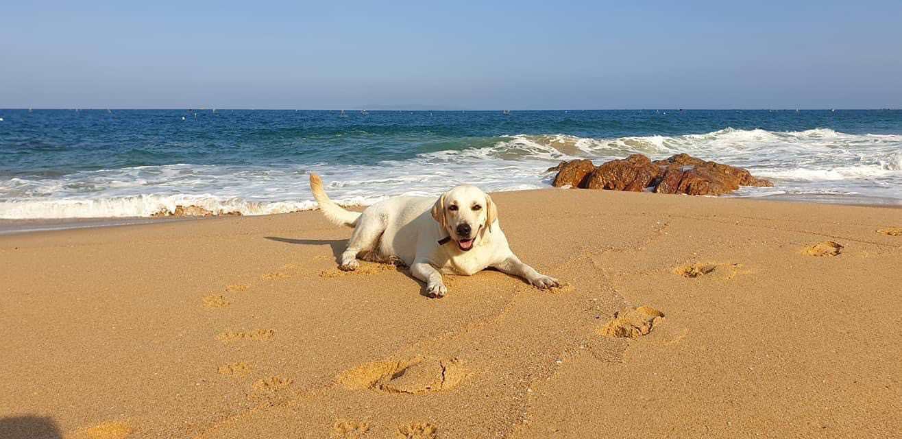 Life's A Beach photo 2