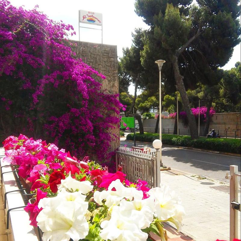 Affittacamere Villa Arazurrina photo 3