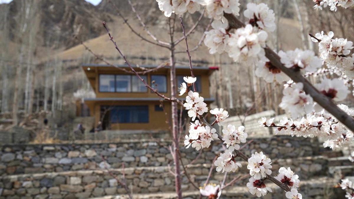 Hostel Nomads Hunza photo 2