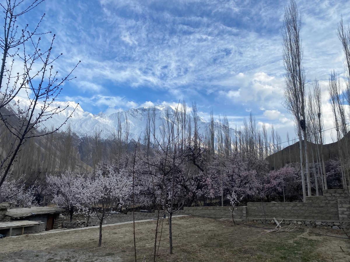 Hostel Nomads Hunza photo 3