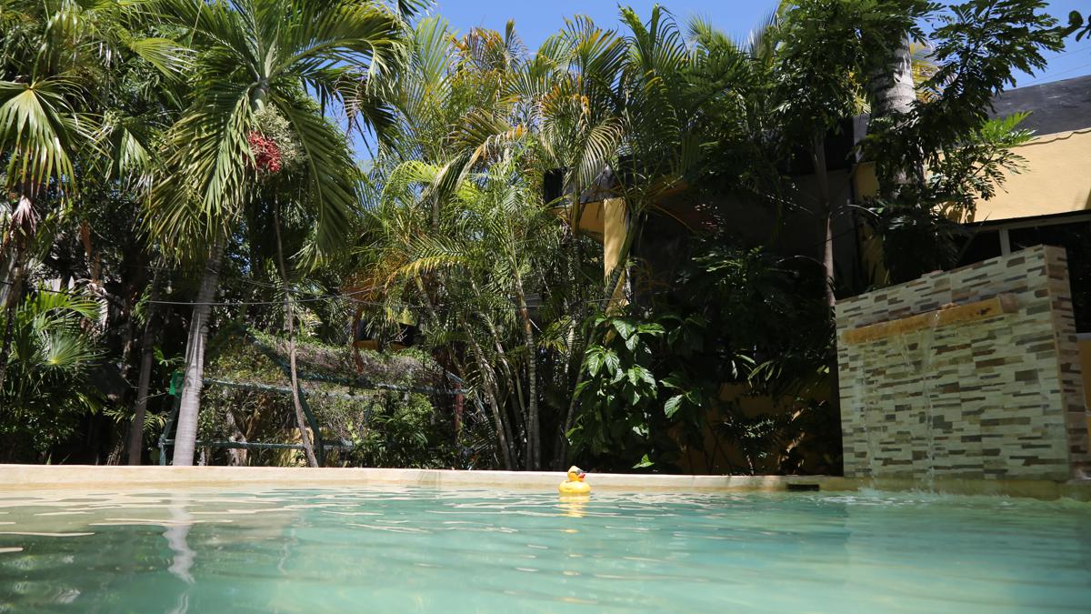 Oryx Hostel Tulum photo 4