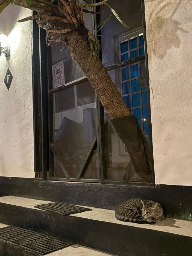 Oryx Hostel Tulum photo 6
