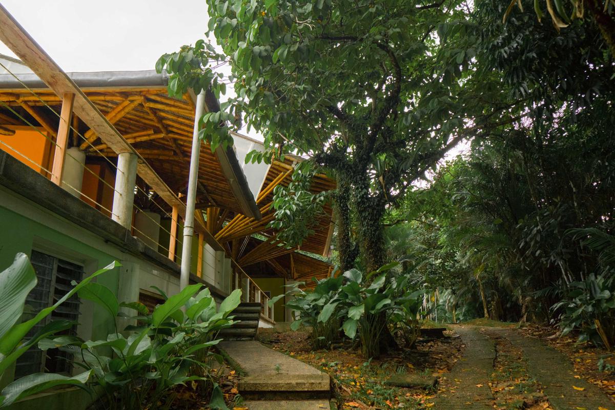 Liquid Jungle Lab photo 4