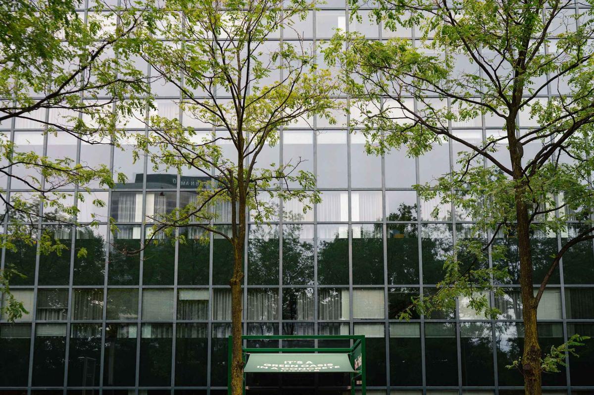 Qbic Amsterdam WTC photo 3
