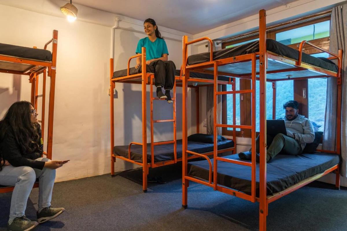 Whoopers Hostel Tosh photo 4