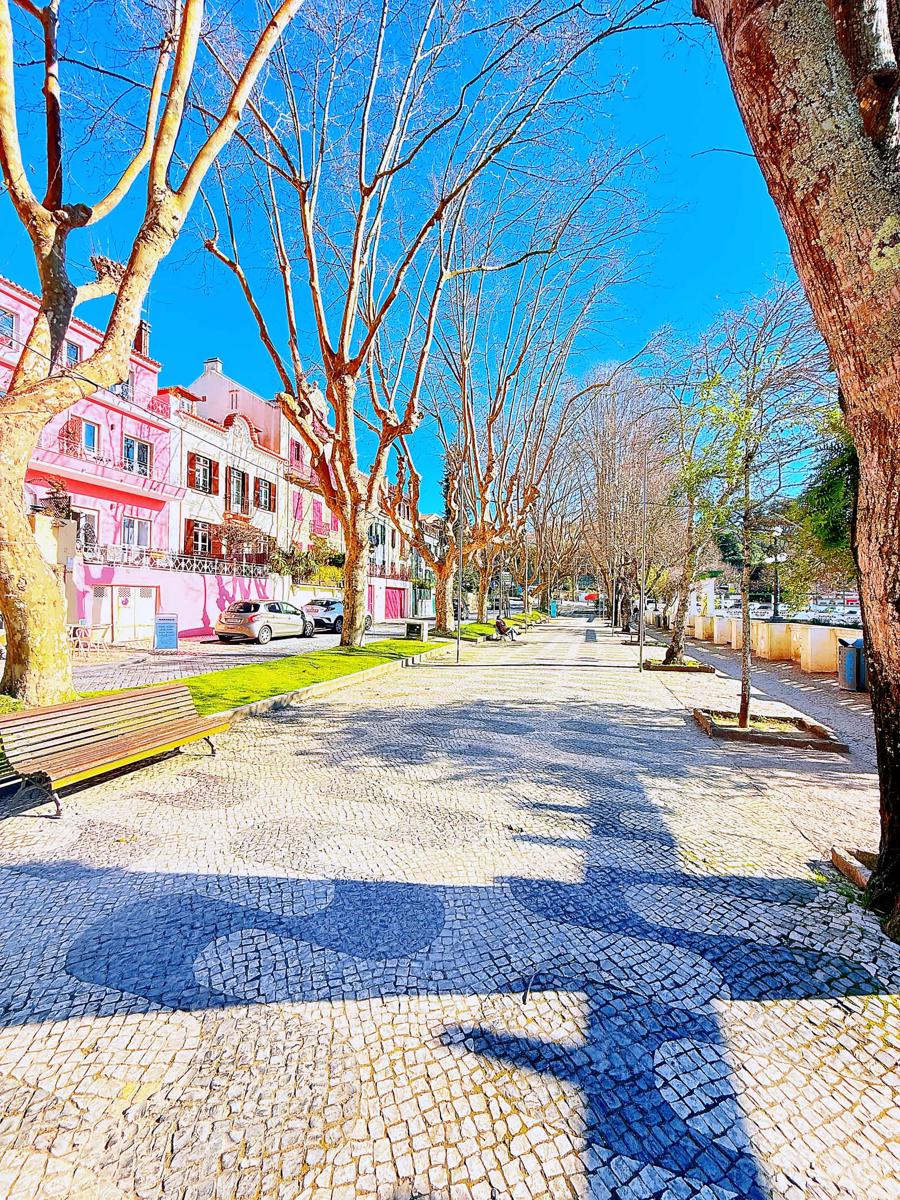 Happy Sintra Inn photo 3